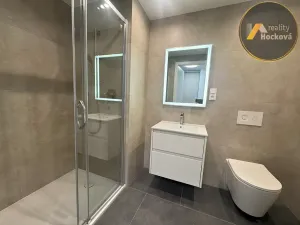 Pronájem bytu 2+kk, Kladno, Engerth, 59 m2