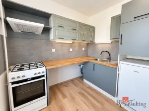 Pronájem bytu 1+1, Dolní Benešov, Osada míru, 32 m2