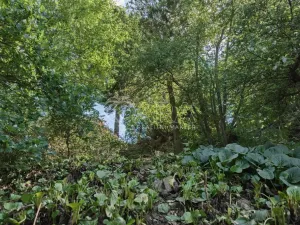 Prodej pozemku pro bydlení, Statenice, Nad Strání, 924 m2