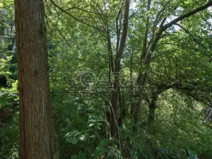 Prodej pozemku pro bydlení, Statenice, Nad Strání, 924 m2