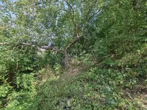Prodej pozemku pro bydlení, Statenice, Nad Strání, 924 m2