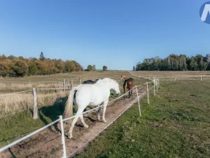 Prodej zemědělského objektu, Stříbro - Lhota u Stříbra, 200 m2