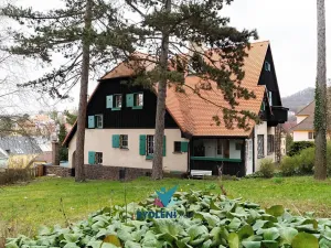 Prodej vily, Teplice, Antonína Dvořáka, 300 m2
