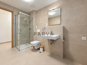 Pronájem bytu 1+kk, Plzeň - Skvrňany, Františka Kováříka, 41 m2