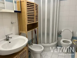 Pronájem bytu 1+kk, Praha - Vinohrady, Slezská, 45 m2