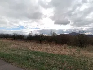Prodej podílu sadu/vinice, Chotiměř, 4287 m2