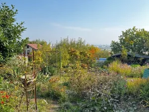Prodej chaty, Olomouc - Slavonín, 16 m2