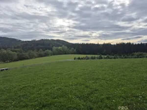 Prodej pozemku pro bydlení, Písek, 1631 m2