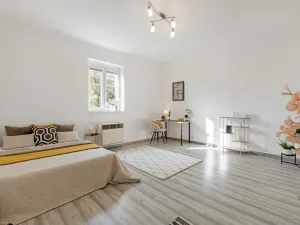 Prodej bytu 1+1, Praha - Žižkov, Pod lipami, 44 m2