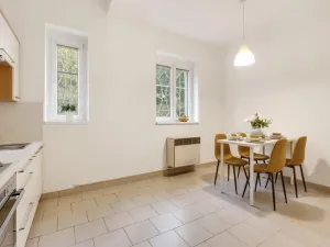 Prodej bytu 1+1, Praha - Žižkov, Pod lipami, 44 m2