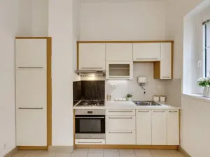Prodej bytu 1+1, Praha - Žižkov, Pod lipami, 44 m2