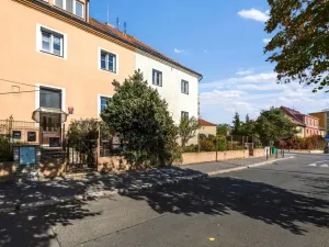 Prodej bytu 1+1, Praha - Žižkov, Pod lipami, 44 m2