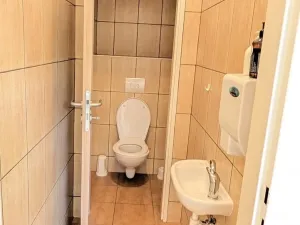 Pronájem komerční nemovitosti, Jihlava, Březinova, 97 m2