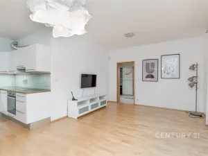 Prodej bytu 2+kk, Praha - Záběhlice, Mattioliho, 65 m2