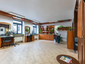 Pronájem komerční nemovitosti, Uherské Hradiště, Josefa Stancla, 54 m2
