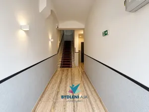 Prodej domu, Teplice, Laubeho náměstí, 425 m2