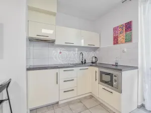 Pronájem bytu 1+kk, Trojanovice, 32 m2