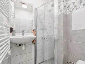 Pronájem bytu 1+kk, Trojanovice, 32 m2