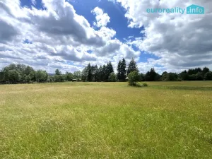 Prodej pozemku, Nepomuk, 10061 m2