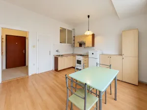 Pronájem bytu 1+1, Olomouc, Dukelská, 45 m2