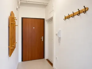 Pronájem bytu 1+1, Olomouc, Dukelská, 45 m2