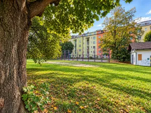 Pronájem bytu 1+1, Olomouc, Dukelská, 45 m2