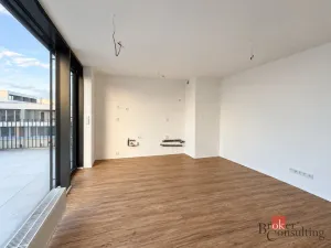 Prodej bytu 2+kk, Plzeň - Jižní Předměstí, Železná, 103 m2