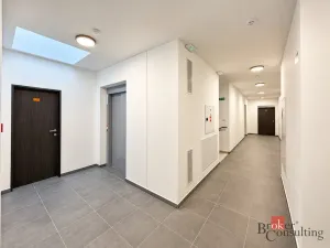Prodej bytu 2+kk, Plzeň - Jižní Předměstí, Železná, 103 m2