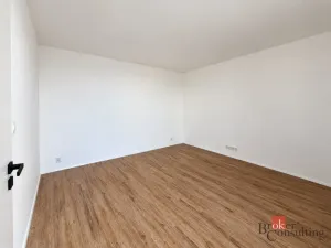 Prodej bytu 2+kk, Plzeň - Jižní Předměstí, Železná, 103 m2