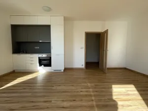 Pronájem bytu 1+kk, České Budějovice, České Vrbné, 40 m2