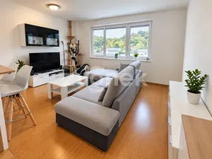 Pronájem bytu 2+kk, Zlín - Příluky, Dřevnická, 57 m2