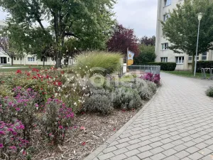 Prodej bytu 2+1, Zlín, Husova, 48 m2