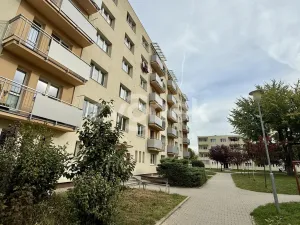 Prodej bytu 2+1, Zlín, Husova, 48 m2