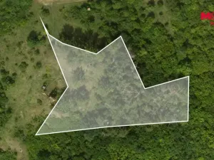 Prodej lesa, Libochovice - Dubany, 8199 m2