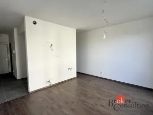 Prodej bytu 1+kk, Plzeň - Bolevec, Krašovská, 36 m2