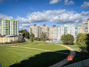 Prodej bytu 1+kk, Plzeň - Bolevec, Krašovská, 36 m2
