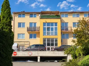 Prodej bytu 1+kk, Brno, Božetěchova, 29 m2