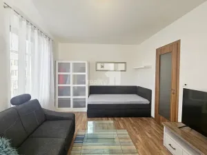 Pronájem bytu 1+kk, Kolín - Kolín III, Václavská, 30 m2