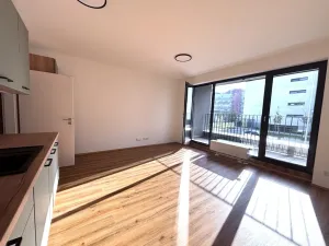 Pronájem bytu 1+kk, Plzeň - Jižní Předměstí, Železná, 35 m2