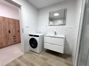 Pronájem bytu 1+kk, Plzeň - Jižní Předměstí, Železná, 35 m2