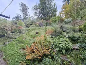 Prodej bytu 3+1, Jeseník, Rudná, 85 m2