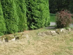 Prodej chaty, Dolní Žandov, 45 m2