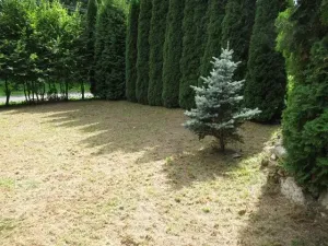 Prodej chaty, Dolní Žandov, 45 m2