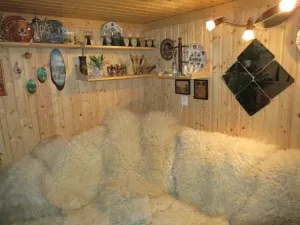 Prodej chaty, Dolní Žandov, 45 m2