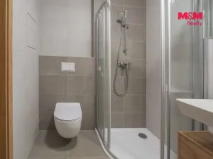 Pronájem bytu 1+kk, Cheb, K Pomezí, 41 m2