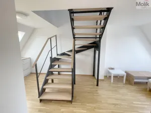 Pronájem bytu 2+kk, Most, Hollarova, 65 m2