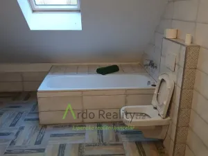 Prodej obchodního prostoru, Bohdalovice - Slubice, 649 m2