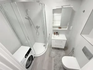 Pronájem bytu 1+kk, Praha, Michnova, 28 m2