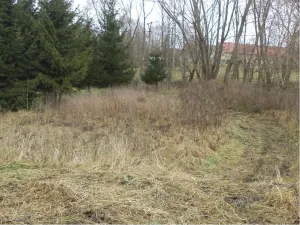 Prodej pozemku, Horní Planá, 1390 m2