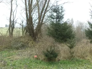 Prodej pozemku, Horní Planá, 1390 m2